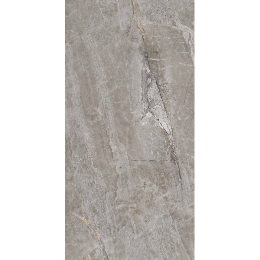 Керамогранит Primavera PR209 Essence Grey Polished 